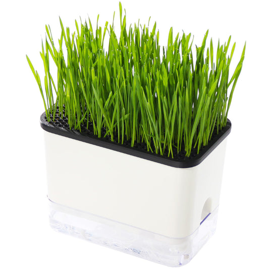 BENPIN Self-Watering Cat Grass Planter (no Seed Included), with Drainage Holes and Anti-Digging Design, Wheat Grass Growing Pot, Cat Grass for Indoor Cats Pets (1)