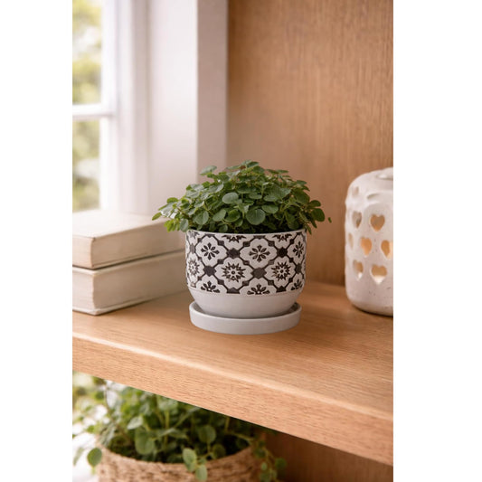 The Bridge Collection Small Floral Plant Pot with Saucer – Brown and White Patterned Ceramic Planter – Indoor Or Outdoor Ceramic Plant Pot with Matching Saucer