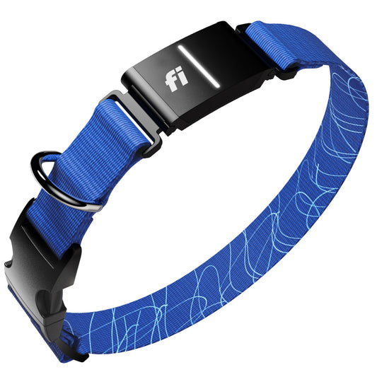 Fi New Series 3+ Smart Dog Tracker Collar [12 Month Membership Included] GPS Tracker for Dogs with Health & Behavior Monitoring, Escape Alerts, Waterproof, LED, Apple Watch Compatible (Blue, Large)