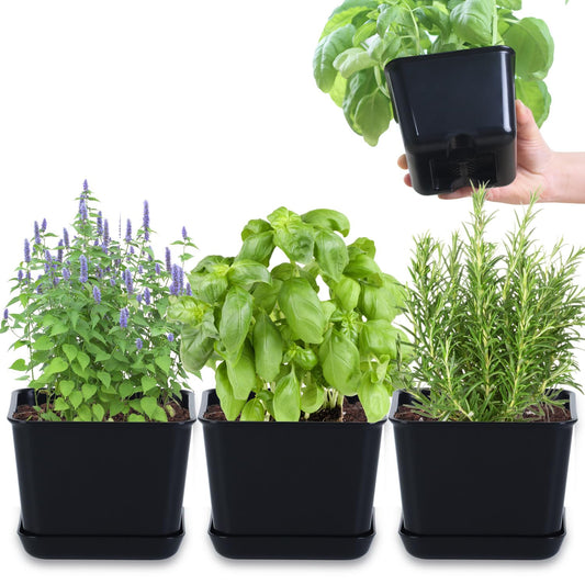 Oliz Herb Garden Planter Indoor Kit Pots for Indoor/Outdoor Plants 4 Packs Windowsill Plant Pots with Drainage and Tray, Window Pot for Indoor Plants (Black)
