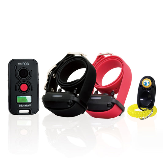 E-Collar Technologies FOB Educator Remote Dog Training Collar, Hands-Free Button for Small Medium Large Dogs, Waterproof, Rechargeable (FE-582)