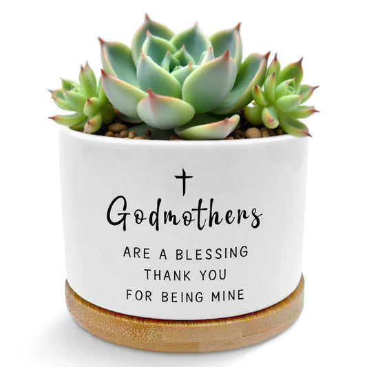 ROXMART Godmother Proposal Gift Plant Pots, Godmother Gifts from Godchild Succulent Planters, God Mother Gifts for Women Ceramic Plant Flower Pots for Home Office Desk Table Shelf(No Plants)