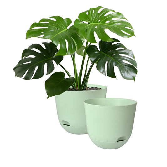 TINGMEIBESTLY Plant Pots 10 Inch Green Color Self Watering Pots, Set of 2 Plastic Planters with Drainage Holes and Saucers,Plastic Flower Pots,Nursery Planting Pot for Indoor Out Door Plants