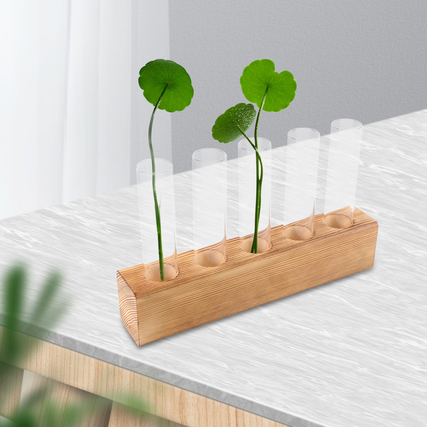 CONGARTENO Glass Test Tube Vase with 5-Hole Wooden Stand Hydroponic Plant Terrarium for Indoor Home Décor and Desktop Plant Holder