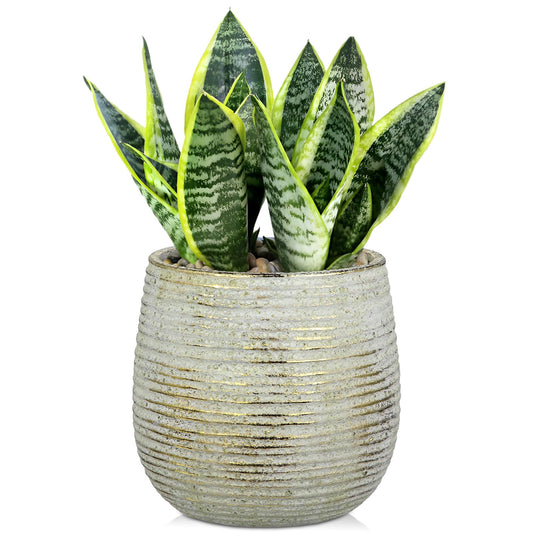 DILATATA Ceramic Pots with Drainage Hole 6.7 Inch Flower Plant Pot Indoor Round Planter Pot for Succulents, Cacti, Cactus, Snake Plants Home Decor - Gold
