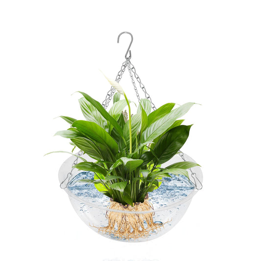 SnowTing 2 Pack Clear Hanging Planter Basket with Hook Chain, 11.8 Inch Air Hydroponics Plants Hanger for Indoor Use, Flower Pots Hanger for Home Garden Porch Entrance Décor