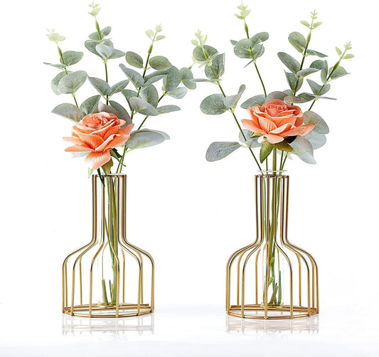 Ivymei 2 Pack Table Flower Vase,Gold Geometric Metal Frame Clear Glass Tube Bud Vase Hydroponic Plants,Gold Vase Decorative for Flower,Weddings,Centerpiece,Party,Home(Gold 8)