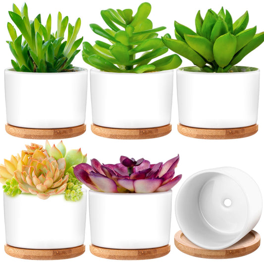 Cindeer 6 Pack White Succulent Plant Pots Bulk - 3" Ceramic Flower Pot with Bamboo Tray & Drainage Holes, Small Cactus Planters for Plant Lover, Home Office Table Decor (Plants Not Included)