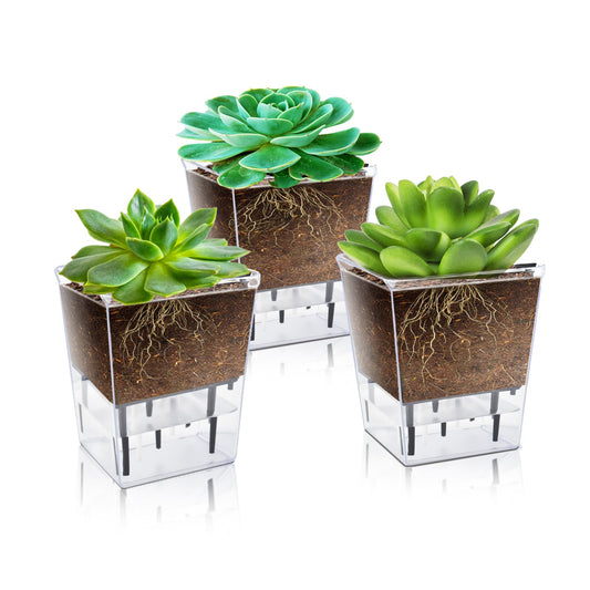 IWNTWY Self Watering Pots Set, 3 Pack 2.7 Inch Self Watering Pots for Indoor Plants, Clear Planter Pot with Deep Reservoir for Spider Plant, Orchid, African Violet (5Pcs Small)