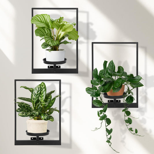 storenization Wall Planters for Indoor Plants, Window Plant Shelves Set of 3, Wall Plant Stand to Hold Large Pots - Premium Metal Hanging Plant Holder for Indoor Outdoor Decor
