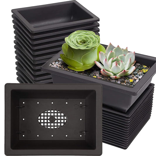 KINJOEK 15 PCS 6.5 Inch Plastic Bonsai Training Pots with Drainage Trays, Rectangular Plant Bonsai Tree Pot, Flower Succulent Growing Seedling Pot Container Planter for Garden Indoor Home Decorative