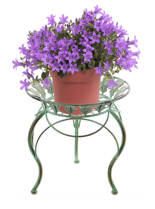 Westcharm Metal Plant Stand for Indoor Outdoor Outside Garden Balcony Patio Living Room Office with Peacock Tail Motif and 13" Round Curved Legs
