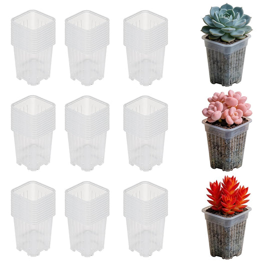 HaoGludi 50 Pack 2'' Square Nursery Pots, Tiny Clear Seedling Planters with Drainage Holes, Plastic Mini Deep Transplant Pot for Herb, Succulent, Germination, Seed Starting, Cuttings