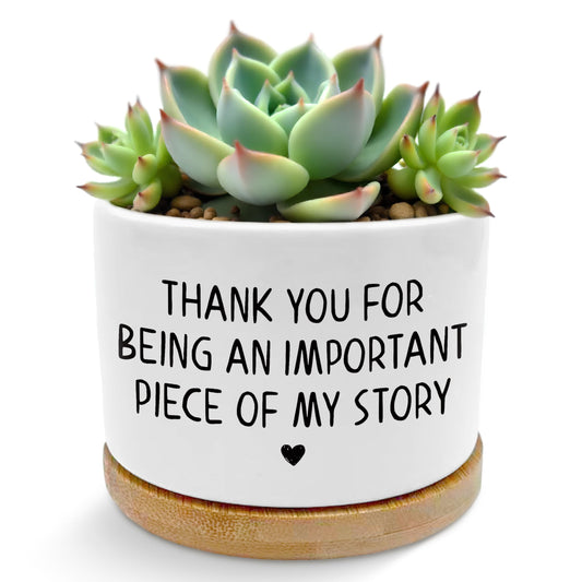 ROXMART Thank You Gifts Plant Pots, Appreciation Gifts for Women Succulent Planters, Thank You for Being Piece of My Story Ceramic Plant Flower Pots for Home Office Desk Table Shelf(No Plants)