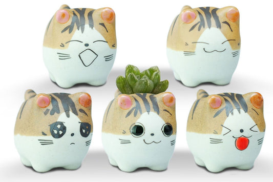 VanEnjoy Original Design Handmade Mini Cute Cartoon Ceramic Succulent Pots Planters With Drainage Hole - Cat Gifts for Cat Lovers Office - Pack of 5