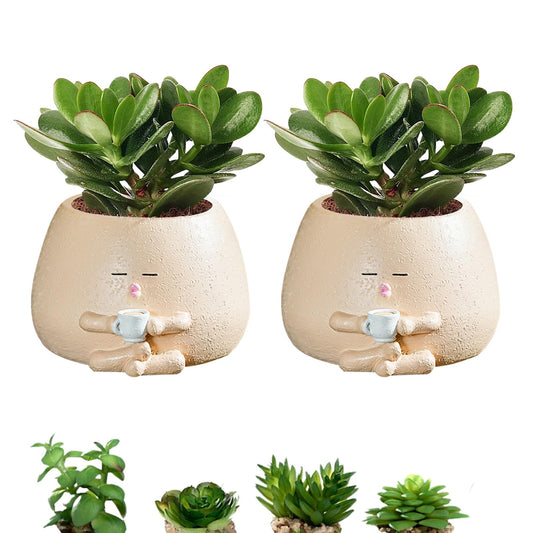 FHDUSRYO Smiley Face Planter Pot, 2Pcs Cute Resin Flower Head Planters for Indoor Outdoor, Unique Sit Succulent Pots with Drainage Hole for Mothers Day, Teacher, Plant Lovers (Drink)