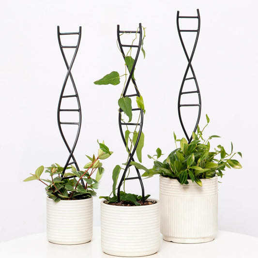 Goooxim DNA Spiral Plant Trellis Indoor - Durable Metal Trellis for Potted Plants, Perfect for Small Houseplant Pots, Ideal for Ivy and Pothos, Space-Saving Vertical Support for Climbing Growth