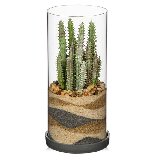 GnFlus Artificial Succulent in Cylindrical Glass Vase Fake Cactus Plant with Modern Glass Terrarium for Home Decor Farmhouse Hostess Gift
