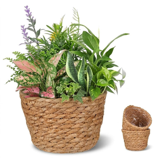 Alipis Wicker Planter: 5.1" Seagrass Plant Basket Indoor - Hand-Woven Planter Basket with Liner for Houseplants, Succulents & Boho Farmhouse Decor 2-Pack