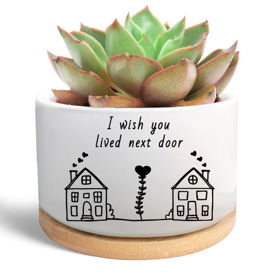 WSLCHOVE Friend Gifts for Women, I Wish You Lived Next Door, Cute Succulent Plant Pot, Flower Planter, Friendship Long Distance Relationship Gifts for Women Best Friend (Plants Not Included)