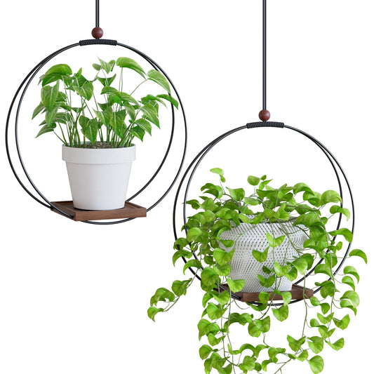 YXFOOR Hanging Planters for Indoor Plants: Macrame Plant Hanger with Sturdy Wood Base, Wall Ceiling Window Decor for Home Garden Patio Office, Housewarming Gift (Pot/Plant Not Included)