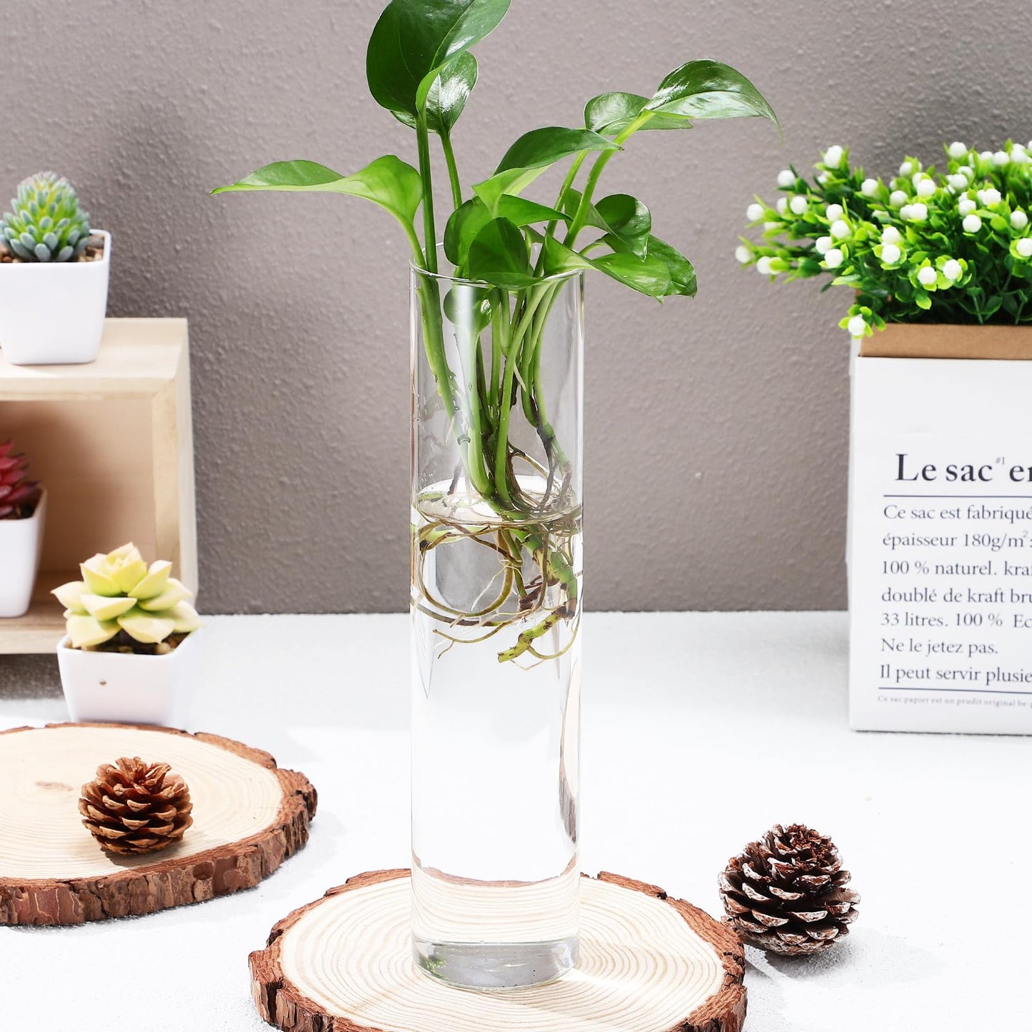 GLEAVI Wall Mounted Flower Vase Set 2pcs Large Cylinder Glass Tubes Hanging Wall Planter for Indoor Plants Home Décor Terrarium Holder
