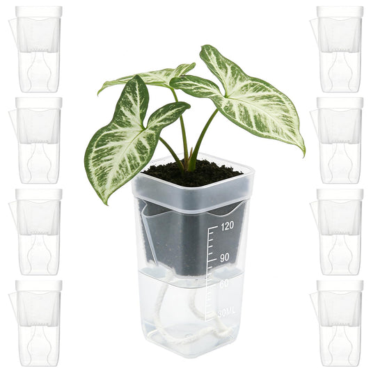 Zarique 8 Pack 2 Inch Self-Watering Plant Pots, Clear Plastic Planter with Water Level Indicator for Propagation, African Violets, Seedlings, Cuttings, with Drainage Hole