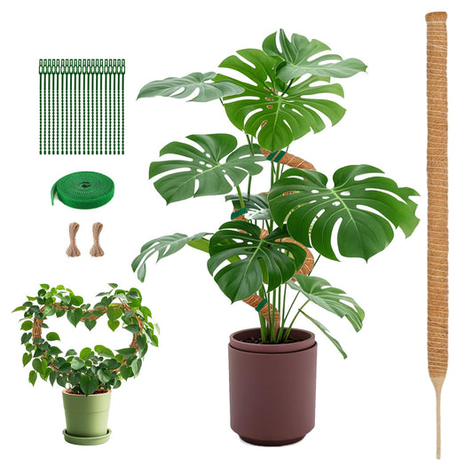 1 Pack 63Inch Bendable Tall Moss Pole for Monstera, 160cm Plant Support Moss Sticks Stakes for Climbing Indoor Plants, Pothos & Philodendron - Coir/Coco Plant Trellis for Potted Climbers & Houseplants