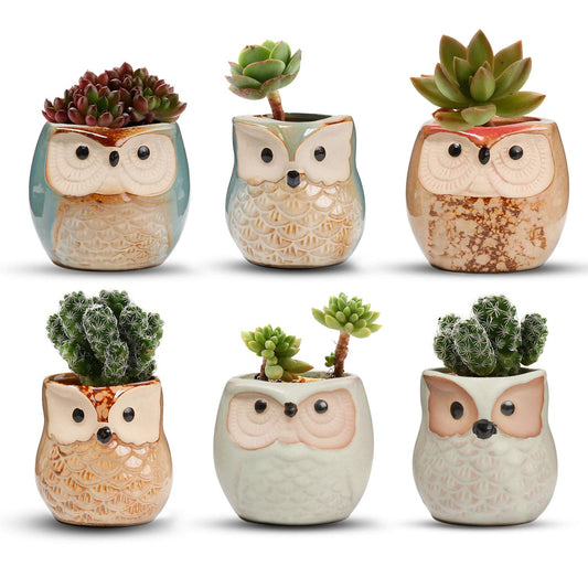 T4U 2.5 Inch Owl Ceramic Succulent Planter Pots with Drainage Hole Set of 6, Mini Cute Flower Pots Tiny Plant Holder Container Best for Home Office Garden Decoration Owl Gift Ideas
