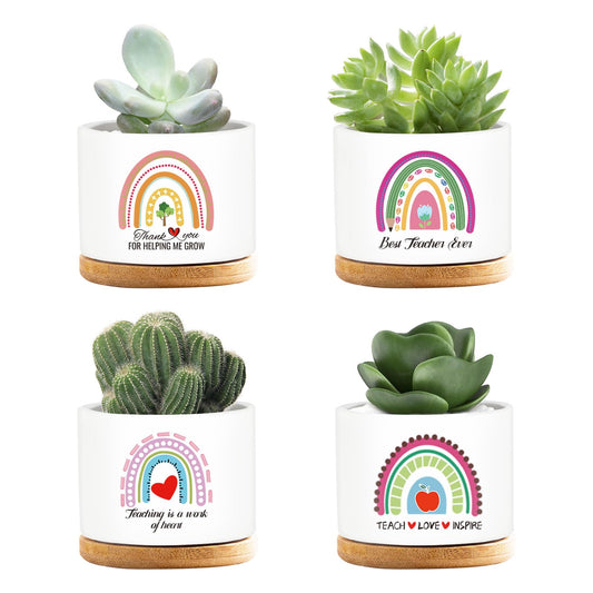 emzrivo 4 Pcs Teacher Appreciation Gifts Funny Ceramic Succulent Plant Pot Teacher Planter Pot Thank You Gifts for Coworker Teacher Valentines Birthday Gift, Plants Not Included