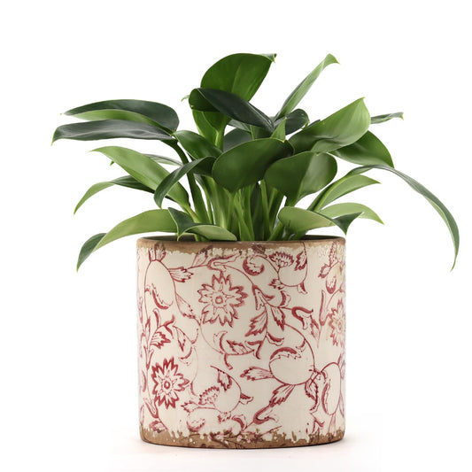 Meltset M Ceramic Planter for Indoor Plant,5 inch Plant Pot with Drainage Small Ceramic Pots Decorative Unique Planter Red for Orchid Succulent Outdoor, Crackle Glaze Finish, Gardening Gift
