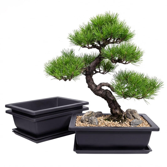 Little pot friend Bonsai Pots, Plastic Bonsai Tree Pots, Bonsai pots with Humidity Tray and Drainage, Suitable for Growing Potted Plants in Both Indoor and Outdoor Gardens (Rectangle, 3pcs-6.5")