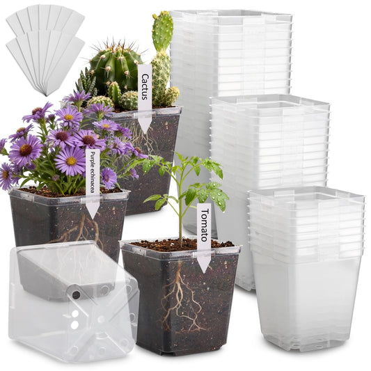 RooTrimmer 5.5 Inch Clear Square Nursery Pots with Drainage & Labels, 30Pcs Reusable Seed Starter Pots for Vegetables, Indoor Outdoor Gardening, Thick Transparent Plastic Plant Pots for Seed Starting