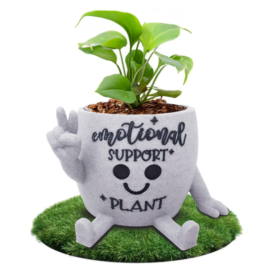 Funny Face Indoor Head Planter Pot, 3D Printed, Unique Small Succulent Flower Pot, Cute Cactus Planter, Indoor Home Decor, Office Desk Plant Pot, Novelty Gardening Gift Set