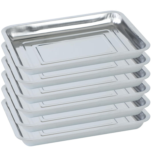 WBCBEC Plant Germination Trays, Stainless Steel Plant Trays Stainless Metal Trays Stainless Steel Seed Starter Carry Trays Nursery Seedling Pots Water Collection Transplantation (6PCS)