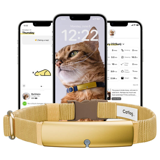 Catlog Health Tracker for Cats - Smart Cat Collar with Safety Breakaway Buckle for Indoor Cats, Wellness Alerts, Real-time Monitoring (Yellow, M)