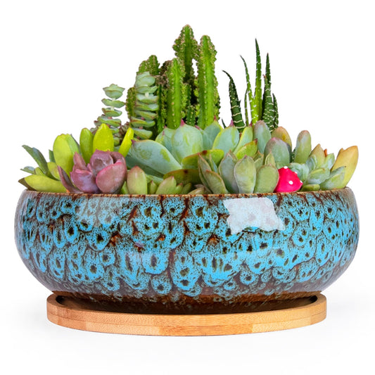 ARTKETTY Succulent Pots - 7.5 Inch Large Plant Pot with Bamboo Tray, Shallow Bonsai Pots with Drainage, Ceramic Planter for Indoor Plants, Cactus, Home Office Desk Decor