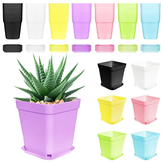 Anyumocz 70 PCS 3" Colorful Plastic Plant Pots,Plastic Square Nursery Pot,Seedling Nursery Pots with Saucers for Indoor Outdoor Plants,Garden,Flower,Home,Office,Balcony Decor