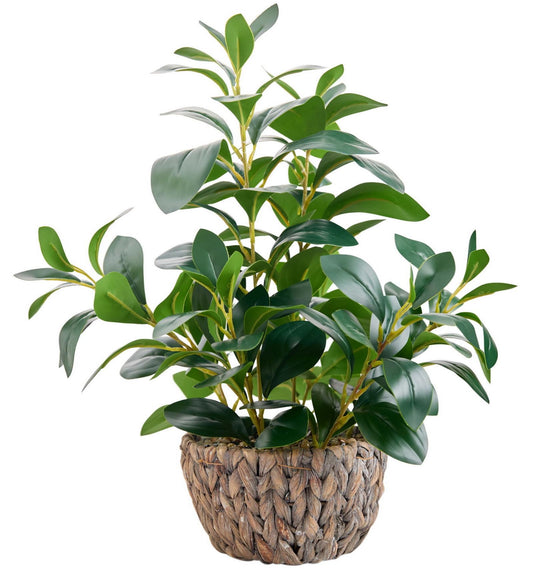 AlphaAcc 18.8 Inch Artificial Ficus Plant Indoor Faux Greenery Potted in Rattan Woven Basket Planter with Decorative Pebbles Realistic Fake Plant for Home Living Room Office Table Desk Shelf Decor