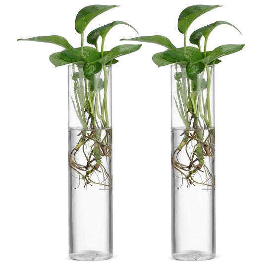 Healeved Wall Hanging Cylinder Glass Vase Set, 2pcs Large Tube Propagation Station for Indoor Plants, Modern Hydroponic Plant Holder, Decorative Terrarium Wall Planter