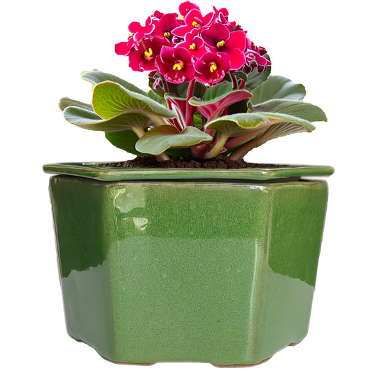 Dphagesy African Violet Pots 6 inch Hexagon Self-Watering Ceramic Pots 4.50'' Opening(Green)