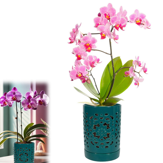 Exzzauk 4 Inch Orchid Pots with Holes, Garden Ceramic Orchid Pots with Separate Saucer for Indoor Outdoor Repotting (Green)