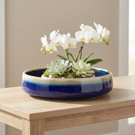 Ceramic Planters Bowl Pot – Planters for Succulents and Small Plants, Indoor Planter for Table, Shelf, or Desk, Wide, Low Profile Design-Forward Home Decor Accent – 4", Blue and White