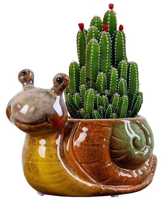 Ruoxian Cute Animal Shaped Planter Flower Pot Frog Shape Small Succulent pots with Drainage Ceramic Animal Planter (Snail)