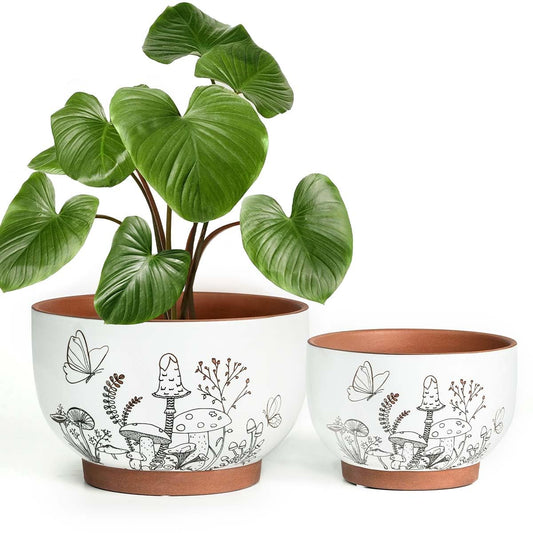YBX 8 Inch & 6 Inch Terracotta Pots, Plant Pots, Flower Pots for Indoor Plants with Drainage, Planters with Mushroom Accent for Indoor Plants (Cottage)