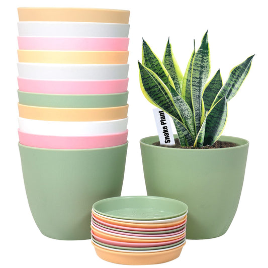 SwinDuck 6 Inch Plant Pots, 12 Pack Plastic Planters Modern Flower Pot with Drainage Holes and Saucers for All House Plants, Herbs, Flowers and Seeding Nursery, Colorful