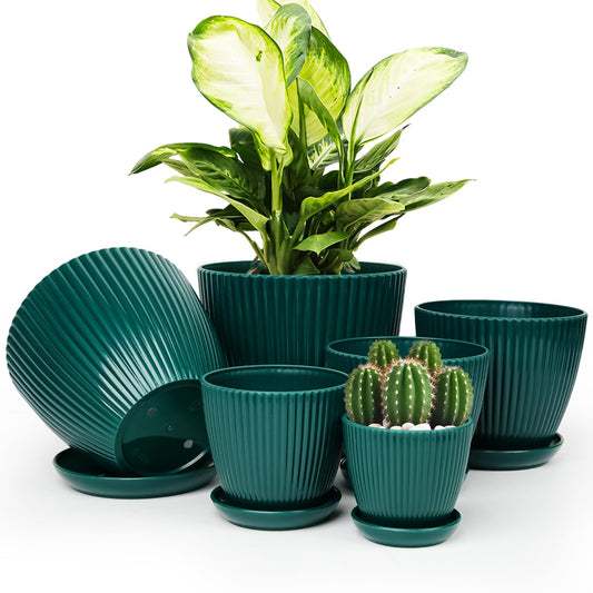 Vodotion Plant Pots Indoor with Saucers & Drainage - 6 Pack Flower Pots - Plastic Planters for Indoor Planter - 7.5/6.6/5.8/5.0/4.3/3.5 inches Sizes for All Different Types of Plants-Dark Green