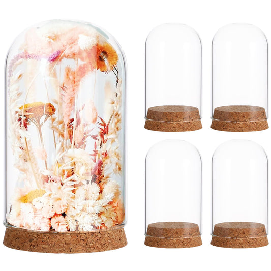 Toyvian 5 Pcs Cloche Glass Dome: Clear Glass Display Dome with Wood Base, Decorative Jars, Transparent Display Cover for Flower Storage, Christmas Party Favor, Keepsakes Collectibles