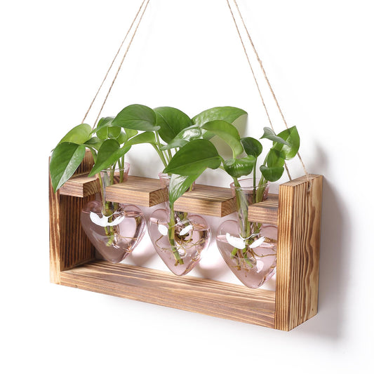 Plant Terrarium Propagation Stations Hydroponics Home Garden Decoration Gift for Women with Wooden Stand Heart Shaped Colored Glass Vase