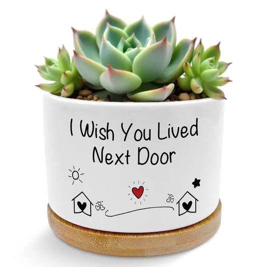 ROXMART I Wish You Lived Next Door Gifts Plant Pots, Friendship Gifts for Women Succulent Planters, Gift for Best Friend Ceramic Plant Flower Pots for Home Office Desk Table Shelf(No Plants)